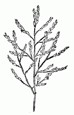 「第八図」のキャプション付きの図