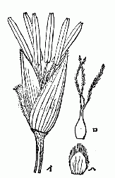「第九図」のキャプション付きの図