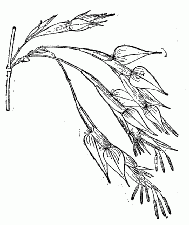 「第十一図」のキャプション付きの図