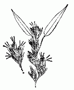 「第十五図」のキャプション付きの図