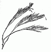 「第十八図」のキャプション付きの図