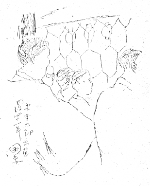 「立見の金網」のキャプション付きの図