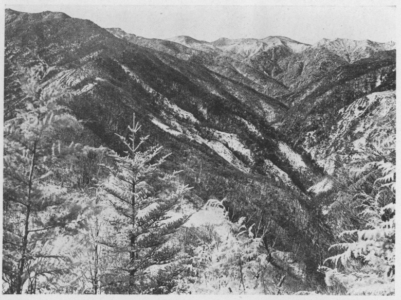 「●真ノ沢と甲武信三山」のキャプション付きの写真