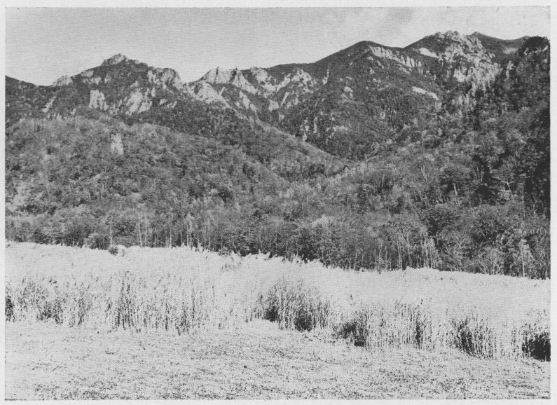 「●金山より金峰山を望む」のキャプション付きの写真