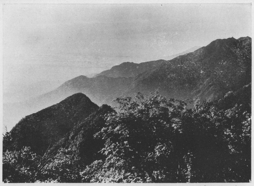 「●七丈ノ小屋(甲斐駒)より見たる鳳凰山と富士山」のキャプション付きの写真