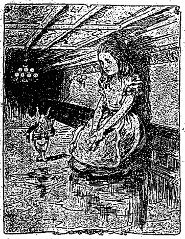 白兎と愛ちやんの図