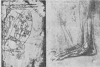 「Fig 33 Medieval Cauterization(left) & Anatomical Drawing by da Vinci (right). 図33 中世の焼灼術(左、11世紀)、レオナルド・ダヴィンチによる解剖図(右)」のキャプション付きの図