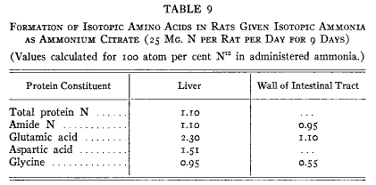 「第9表」のキャプション付きの図