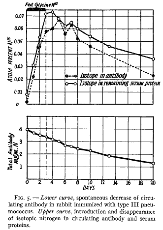 「第5図」のキャプション付きの図