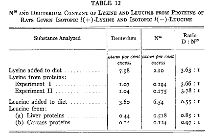 「第12表」のキャプション付きの図