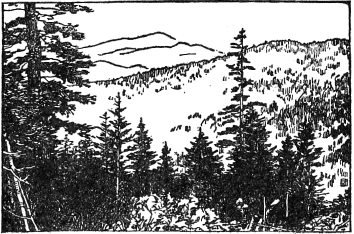 「温根湯の國有林」のキャプション付きの図