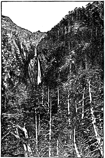 「寒帶林（臺灣新高とゞまつの林）」のキャプション付きの図