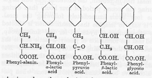 フェニルアラニン、フェニル-α-乳酸、フェニルピルビン酸、フェニル-β-乳酸、フェニルグリセリン酸の化学構造式の図