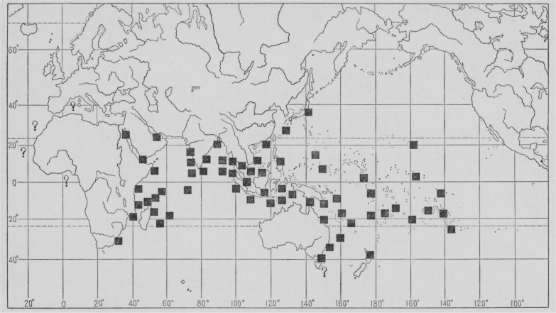 「（ジャクソン氏の著書より）」のキャプション付きの宝貝の産地分布図