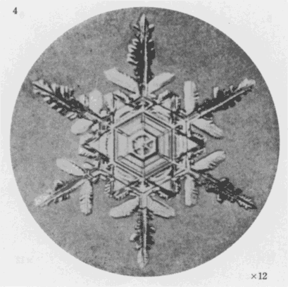 「第1図版」のキャプション付きの図