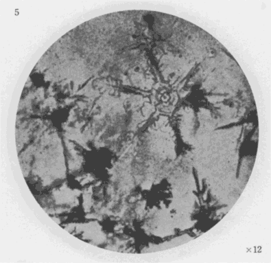 「第2図版」のキャプション付きの図