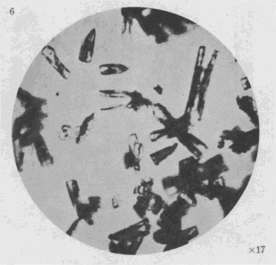 「第3図版」のキャプション付きの図