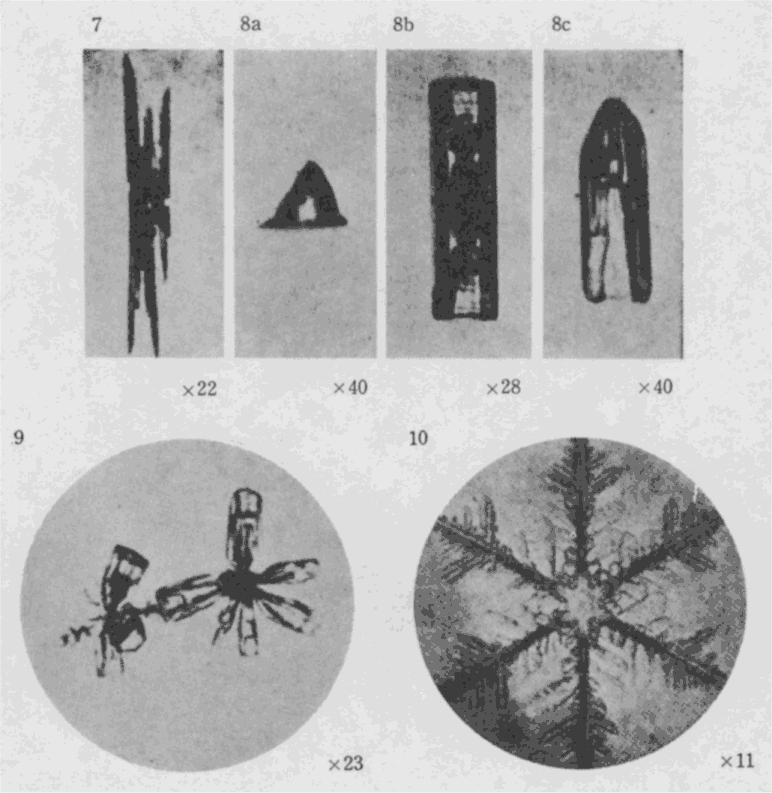 「第4図版」のキャプション付きの図
