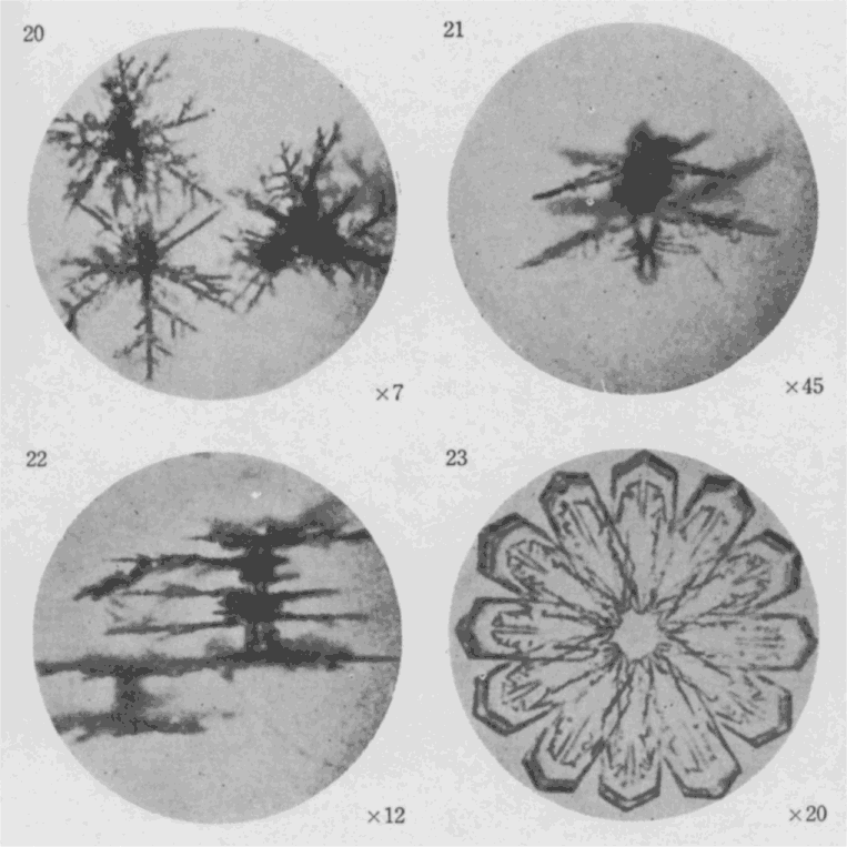 「第7図版」のキャプション付きの図