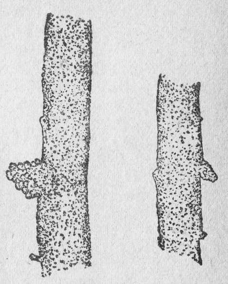 「第39図」のキャプション付きの図