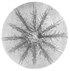 「第２図」のキャプション付きの図