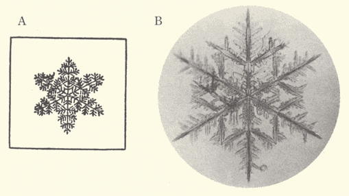 「第十一図」のキャプション付きの図