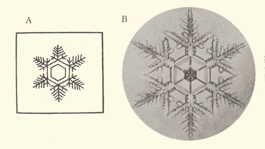「第十四図」のキャプション付きの図
