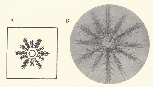 「第十九図」のキャプション付きの図