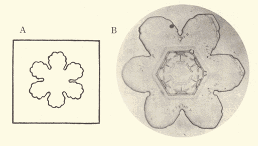 「第二十一図」のキャプション付きの図