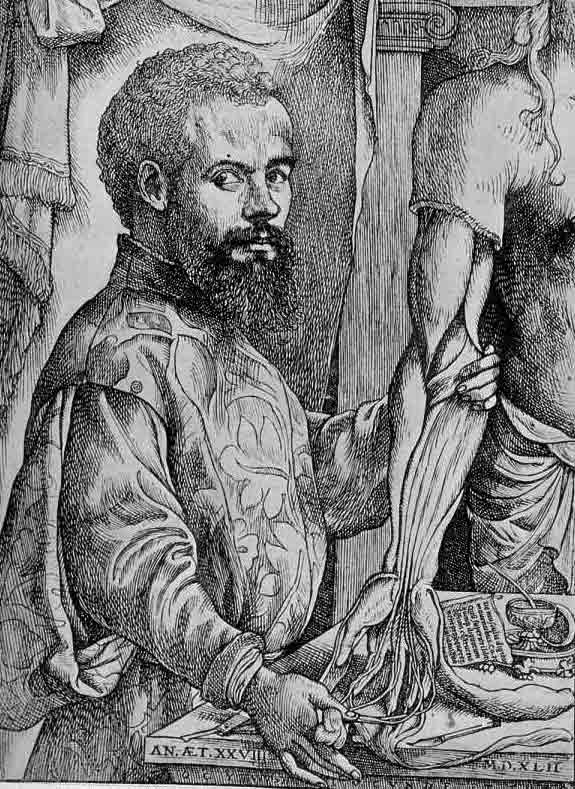 「第61図 アンドレアス・ヴェサリウス(「ファブリカ」(1543)1ページの対向の木版)」のキャプション付きの図