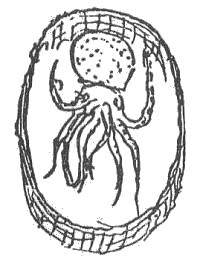 「図‐26［＃「26」は縦中横］」のキャプション付きの図