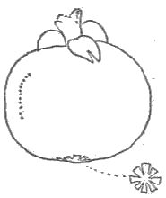 「図‐162［＃「162」は縦中横］」のキャプション付きの図