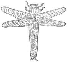 「図‐214［＃「214」は縦中横］」のキャプション付きの図