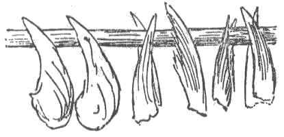 「図‐395［＃「395」は縦中横］」のキャプション付きの図