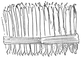 「図‐462［＃「462」は縦中横］」のキャプション付きの図
