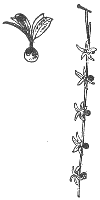 「図‐477［＃「477」は縦中横］」のキャプション付きの図