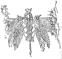 「図‐485［＃「485」は縦中横］」のキャプション付きの図