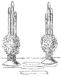 「図‐486［＃「486」は縦中横］」のキャプション付きの図