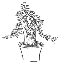 「図‐501［＃「501」は縦中横］」のキャプション付きの図