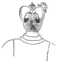 「図‐511［＃「511」は縦中横］」のキャプション付きの図