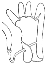 「図‐724［＃「724」は縦中横］」のキャプション付きの図