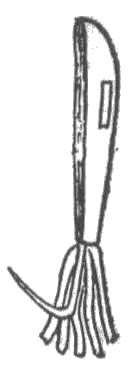 「図‐774［＃「774」は縦中横］」のキャプション付きの図