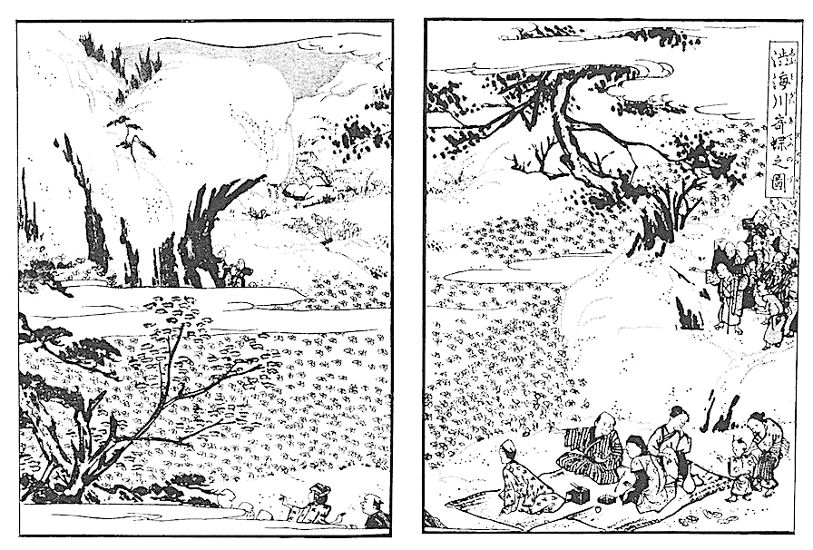 渋海川奇蝶之圖