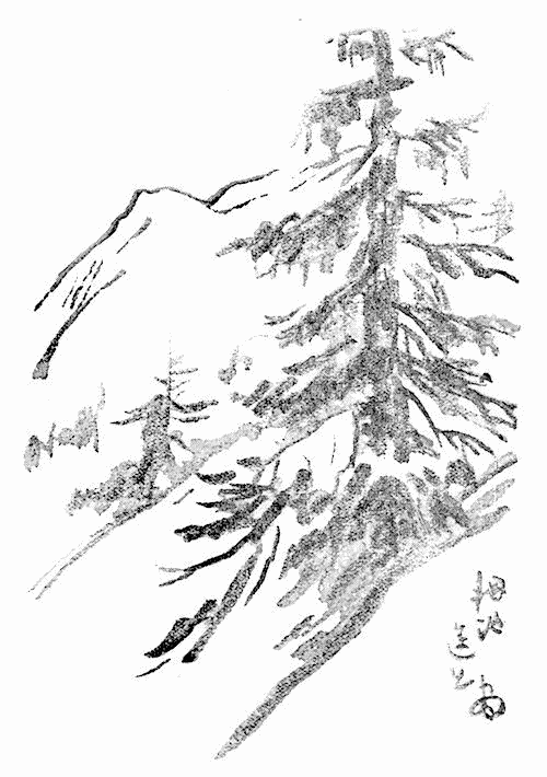 栂池峯と白檜の挿図