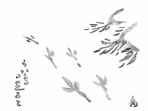 らいちょうの足跡の挿図