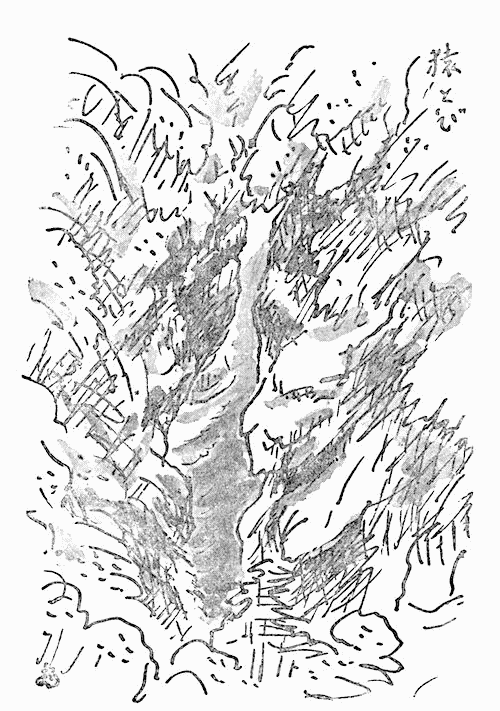 黒部本流猿とびの挿図