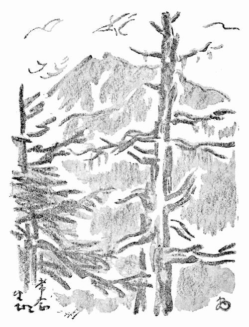 峯頭と枯木の挿図