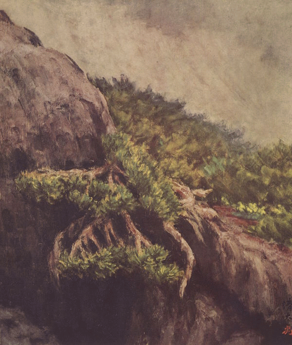 「老いたる偃松(木曾駒ガ岳)」のキャプション付きの挿図