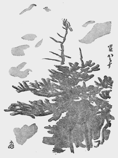 星からすの挿図