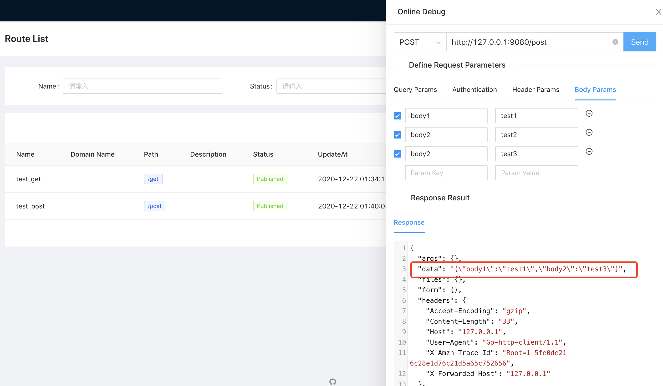 route-debug-body-params